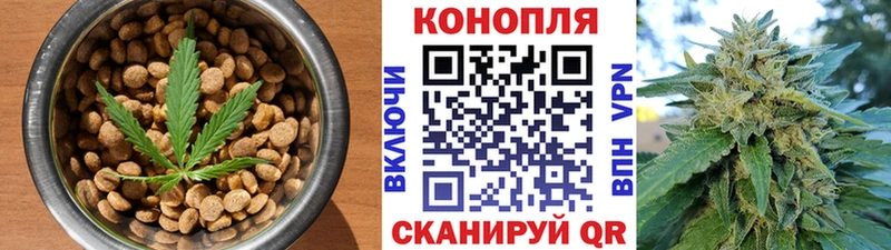 blacksprut ссылки  Вытегра  Еда ТГК конопля  что такое наркотик 