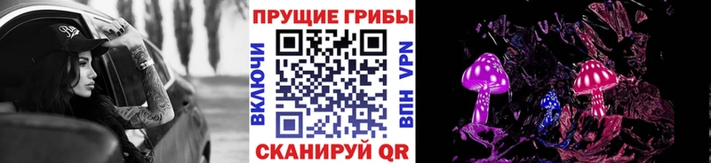 Псилоцибиновые грибы Psilocybe  Вытегра 